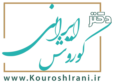 قالب پارسی نیوز