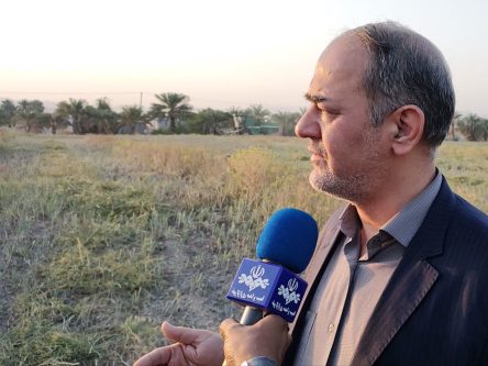 محمدرضا طلایی رییس هیات مدیره و مدیرعامل سازمان مرکزی تعاون روستایی ایران